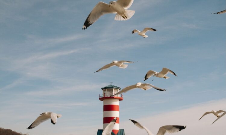 Have a Good Weekend. | Cup of Jo