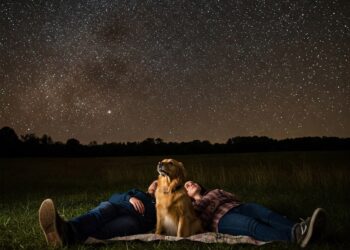 Excessive-Tail It Out of City with Cruise Tales