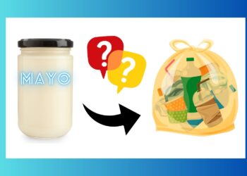 Does Mayo Go Unhealthy? Every part You Have to Know