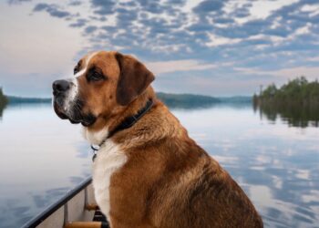 Have a Candy Weekend. | Cup of Jo