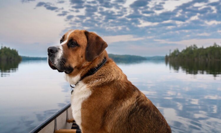 Have a Candy Weekend. | Cup of Jo