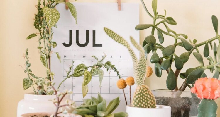 Copyright Workplace Authorized Battle to Run Into At Least July