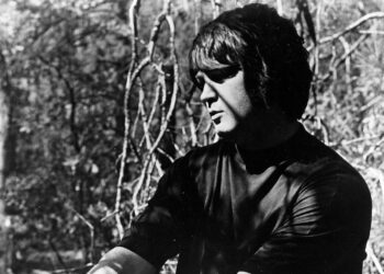 How Brian Wilson Broke This Metalhead’s Coronary heart