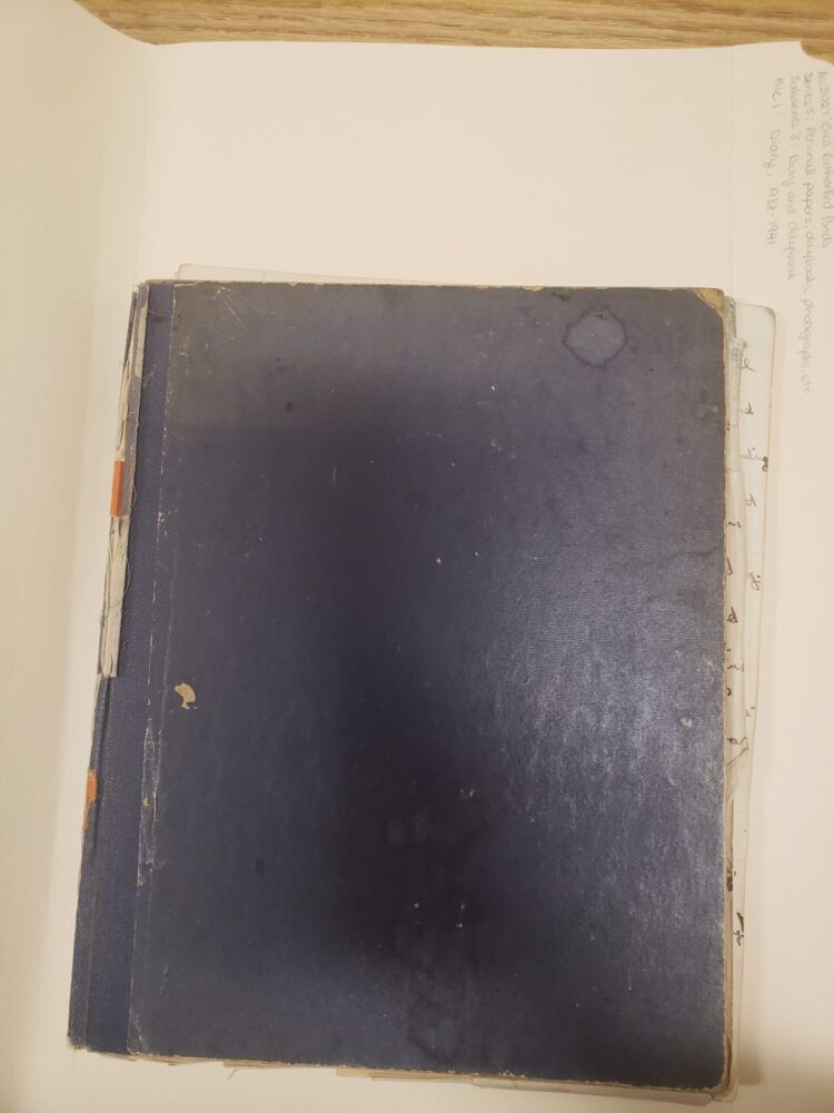 The Archival Pasts and Potentials of Erica Rutherford – Lively Historical past