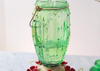 Hummingbird Meals – A Lovely Mess