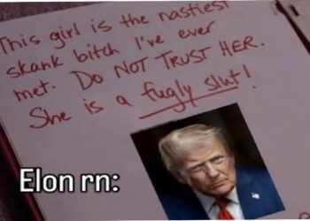 A Trump-Musk Feud That’s Ripe for the Meme-ing