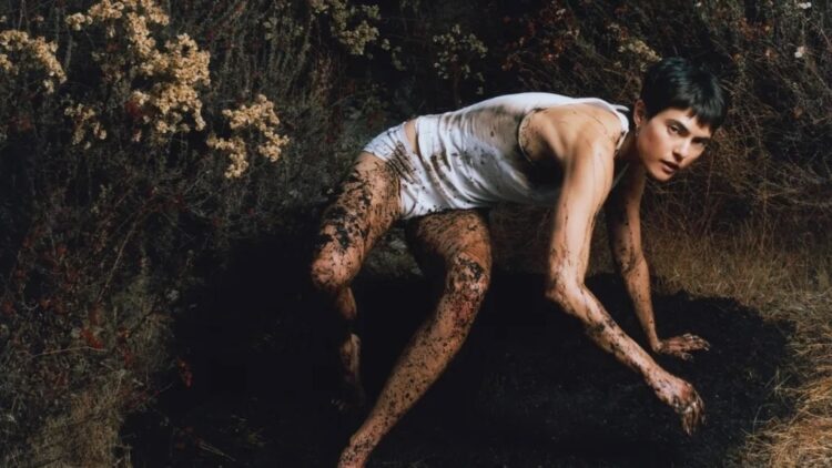 World Cafe : World Cafe Phrases and Music Podcast : NPR