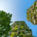 How high-rise forests can remodel metropolis life – and make us happier