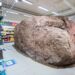 This Grocery store Has a Large Rock within the Center of It » Design You Belief — Design Each day Since 2007