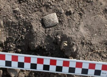 Fowl divination textual content discovered at Hittite settlement – The Historical past Weblog