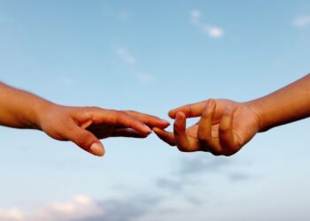 Households in Gaza Are Ravenous. What Can We Do?