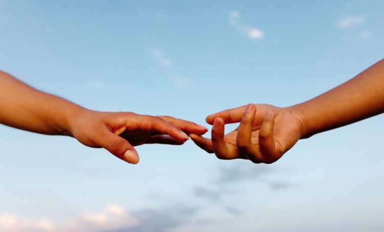 Households in Gaza Are Ravenous. What Can We Do?