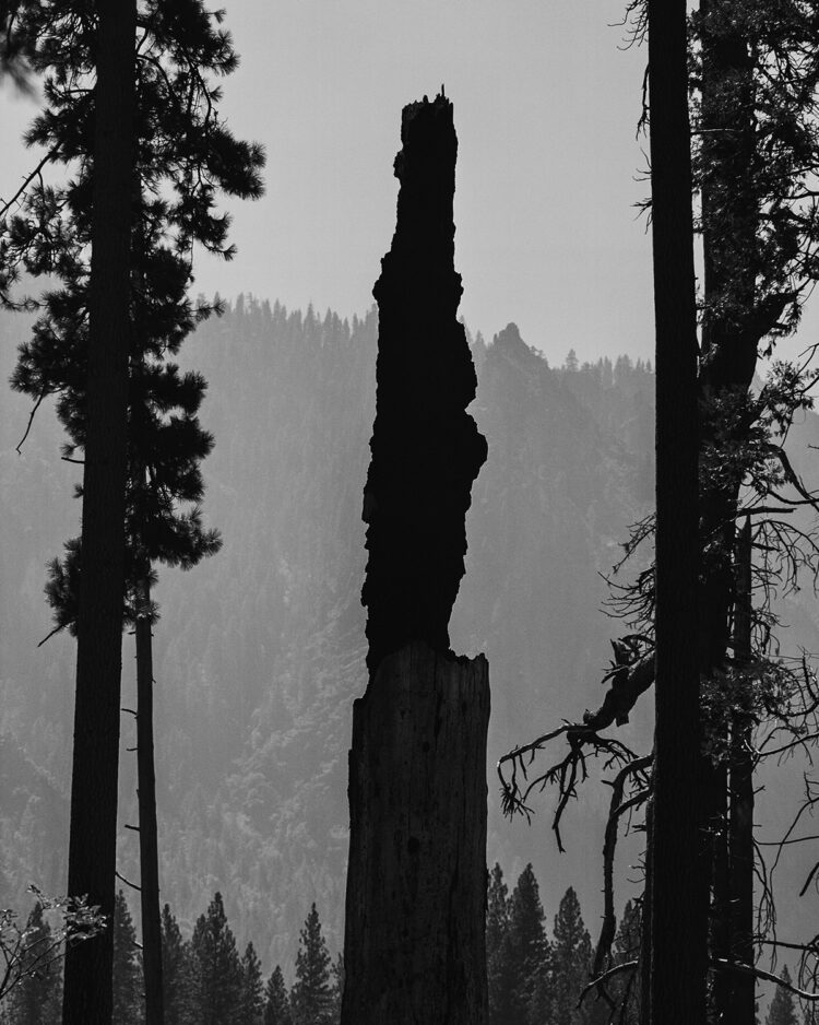 “California Goals” by Photographer Nicolas Denolle