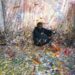 Sam Gilliam Basis, David Kordansky Sued Over ‘Disavowed’ Portray