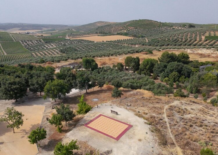 Amongst Andalusian Vineyards, a Vivid Carpet Creates a Area for Gathering — Colossal