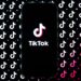 TikTok introduces new Songwriter Options to assist its artists
