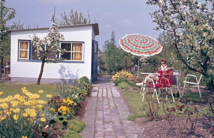 Photographs That Take You Again to Summers in Your Grandparents’ Yard