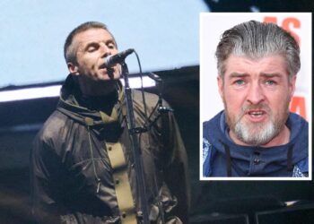 Liam + Noel Gallagher’s Brother Dealing with Sexual Assault Prices