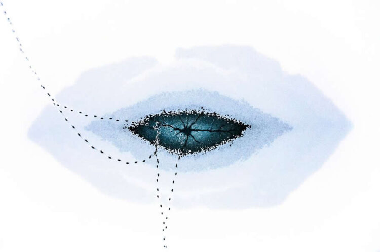 Stunning Nature-Profitable Photographs from the 2025 BigPicture Pure World Awards » Design You Belief — Design Day by day Since 2007