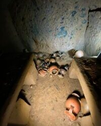 Replace on sealed Etruscan tomb – The Historical past Weblog