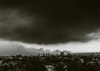 FireAid Fund Distribution—Some Non-Income Return Cash