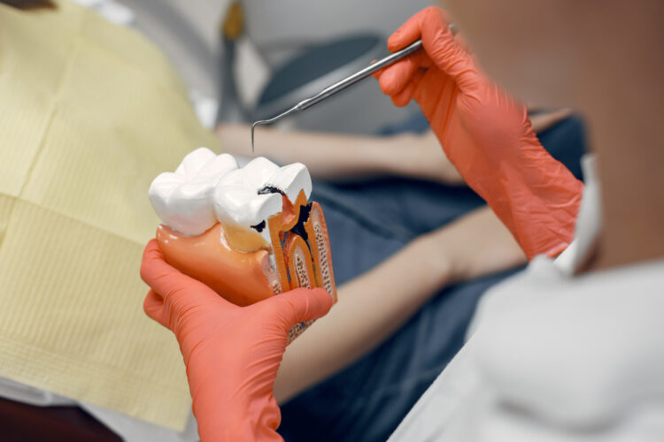 Lacking Tooth Substitute: Exploring Trendy Options