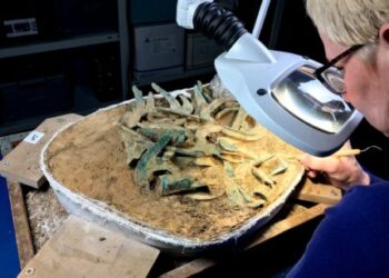 Massive Bronze Age steel hoard present in Saxony – The Historical past Weblog