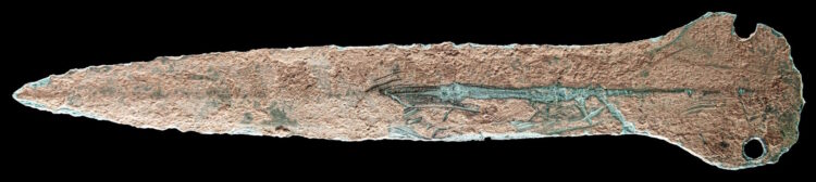 Man finds 3,500-year-old dagger on a stroll along with his youngsters – The Historical past Weblog