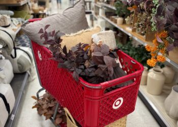 New Fall Dwelling Decor from Goal