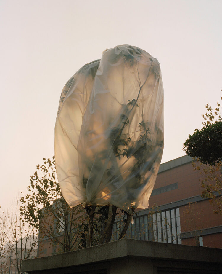 “Limitless Desires” by Photographer Yufei Ma