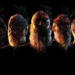 MESHUGGAH Has By no means Performed These 27 Songs Stay