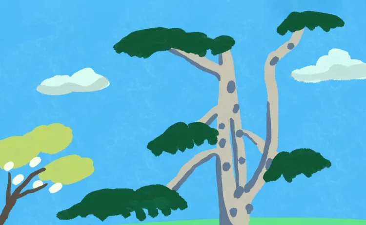 Shujing Shen: Between Stillness & Sensation, a World Reimagined