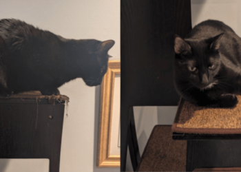 Fireplace Friday, August 15, 2025 (On Latin Pronunciation) – A Assortment of Unmitigated Pedantry