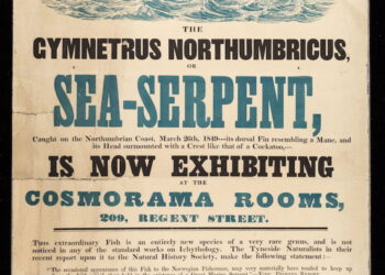 When Summer time Meant Sea Serpents