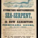 When Summer time Meant Sea Serpents
