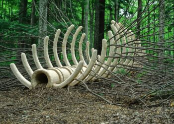 Six Acclaimed Artists Interpret Ecology and the Panorama for ‘Floor/work 2025’ — Colossal