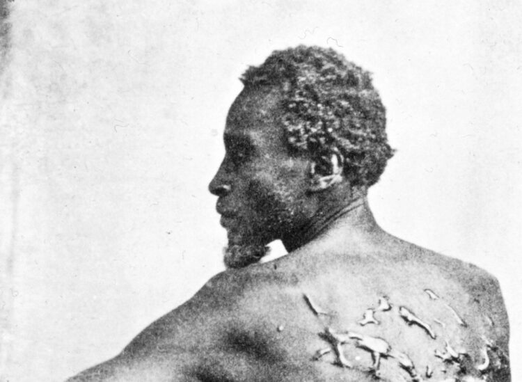 Trump Orders Nationwide Park to Take away ‘Scourged Again’ {Photograph}