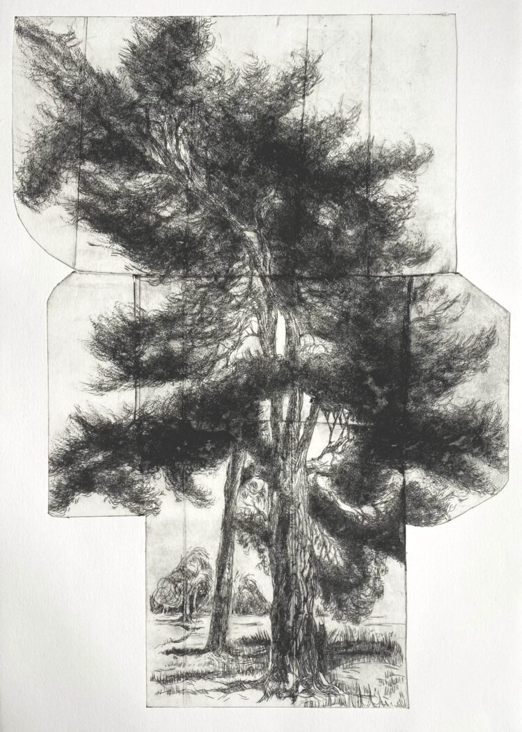 Ky Lewis: The Essence of Bushes