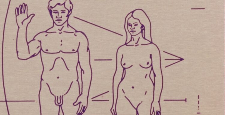 Sexism in area | Eurozine