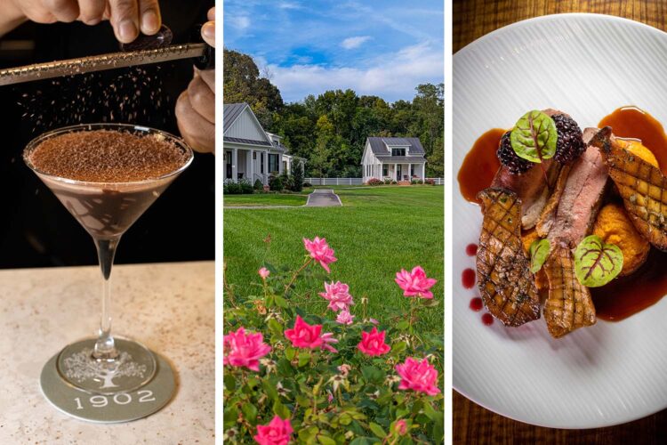 The Oaks Waterfront Lodge Overview: Jap Shore Luxurious