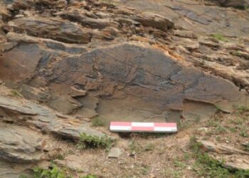 China’s first emperor sought elixir of life in Tibet – The Historical past Weblog