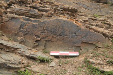 China’s first emperor sought elixir of life in Tibet – The Historical past Weblog