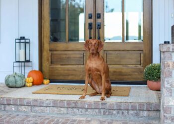 Fall Dwelling Decor Tour 2025