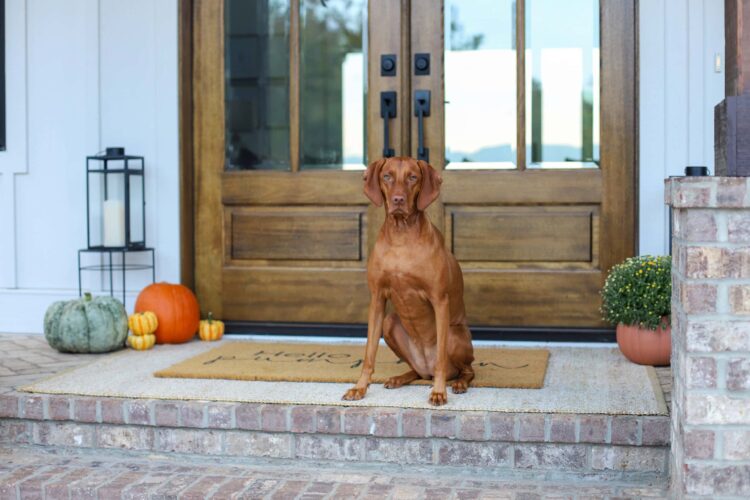 Fall Dwelling Decor Tour 2025