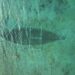 Roman shipwreck uncovered in Croatia – The Historical past Weblog
