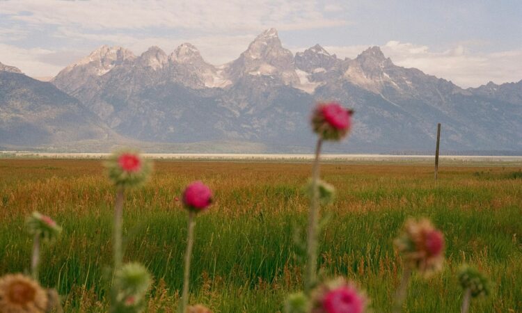 Have a Pretty Weekend. | Cup of Jo