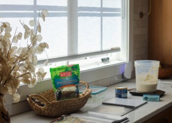 What Bought Me By way of a Heavy Week