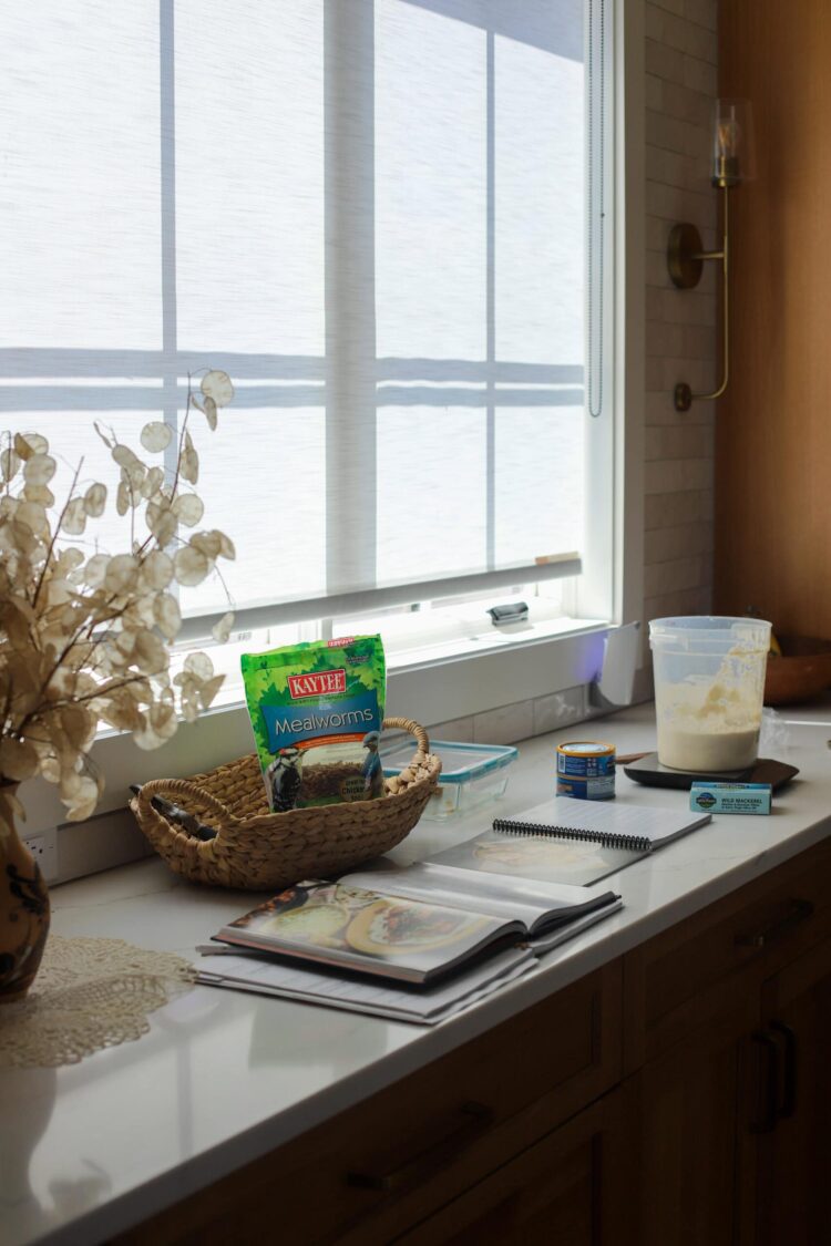 What Bought Me By way of a Heavy Week