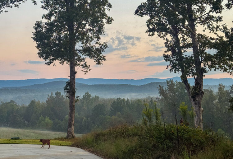 5 on Friday – A Wholesome Slice of Life