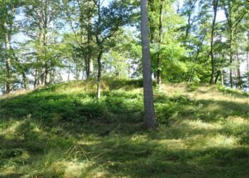 The Elite Class That Inhabited Seddin, Germany, Throughout The Bronze Age Had been Travellers And Originated From Elsewhere 